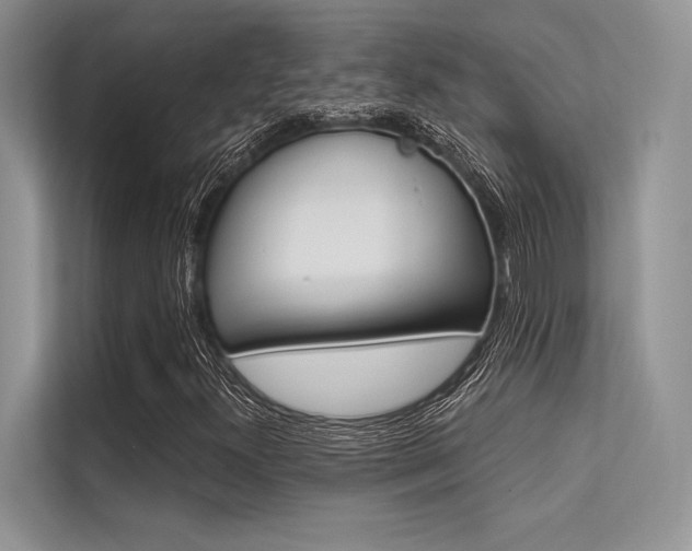 X0000113571300200909180951