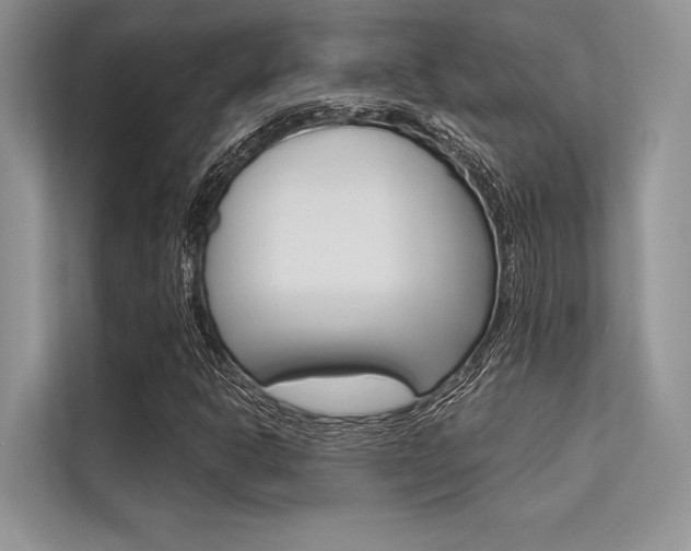 X0000113571302200909180951