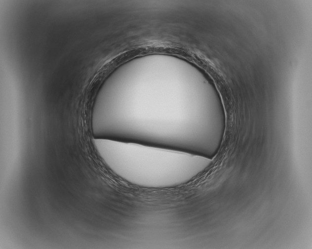 X0000113571303200909180951
