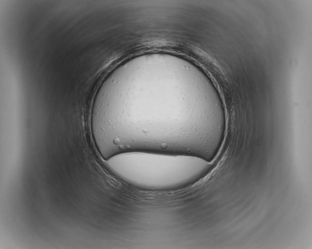 X0000113571305200909180951