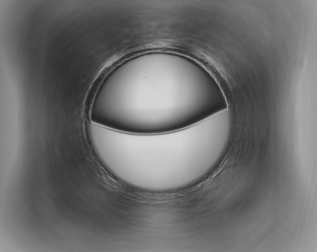 X0000113571308200909180951