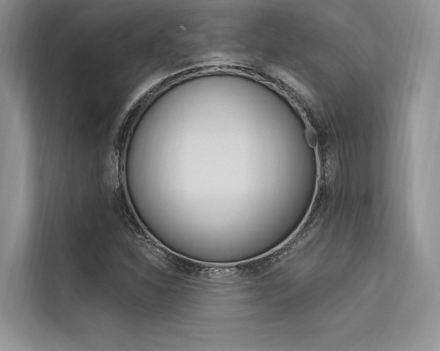 X0000113571310200909180951