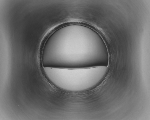 X0000113571319200909180951