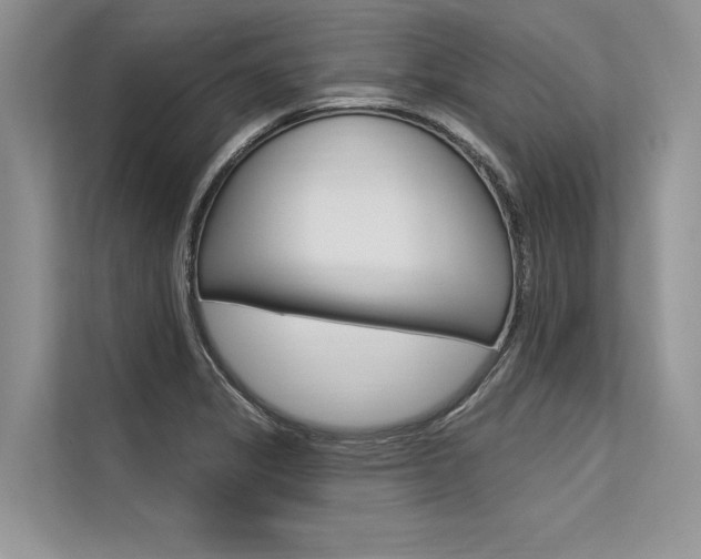X0000113571325200909180951