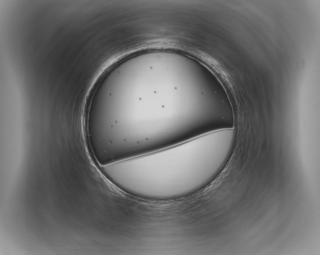 X0000113571334200909180952