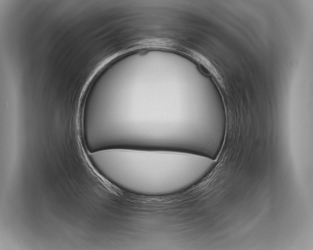 X0000113571339200909180952