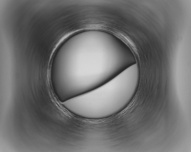 X0000113571340200909180952