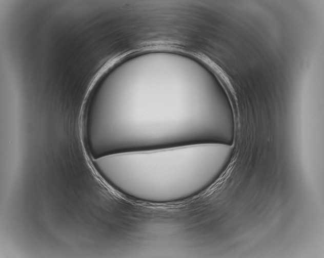 X0000113571341200909180952