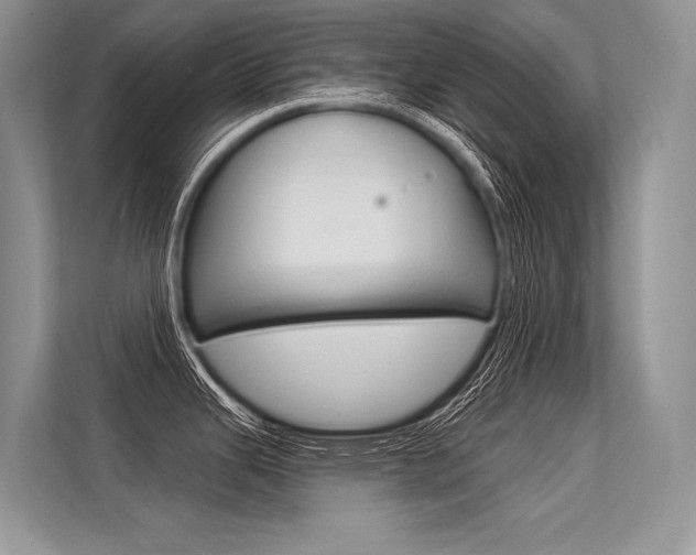 X0000113571343200909180952