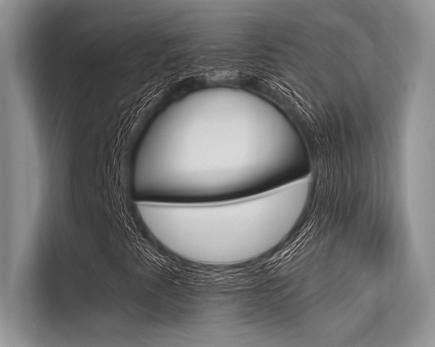 X0000113571345200909180951