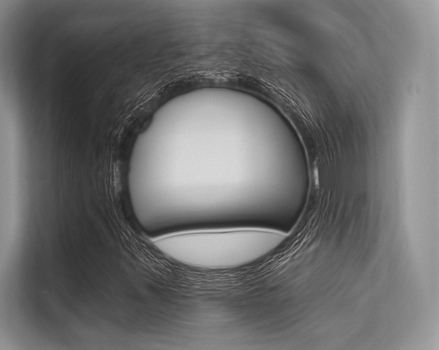 X0000113571347200909180951