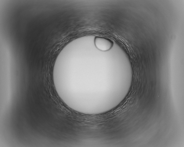 X0000113571349200909180951