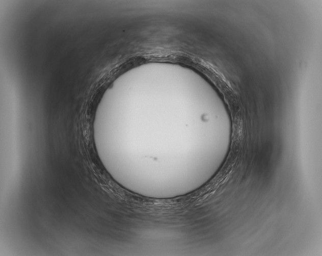 X0000113571350200909180951