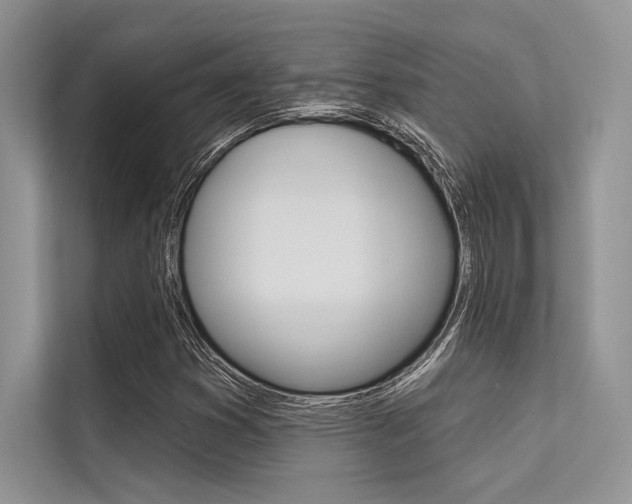 X0000113571353200909180951
