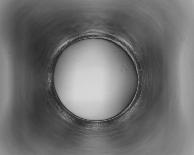 X0000113571355200909180951