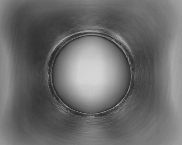 X0000113571360200909180951