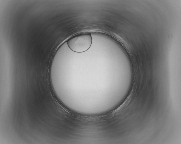 X0000113571361200909180951