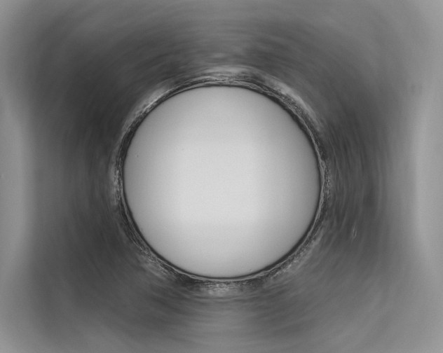 X0000113571362200909180951