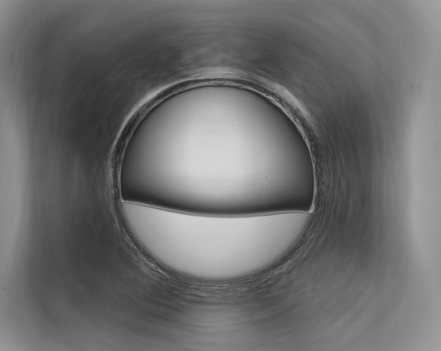 X0000113571364200909180951