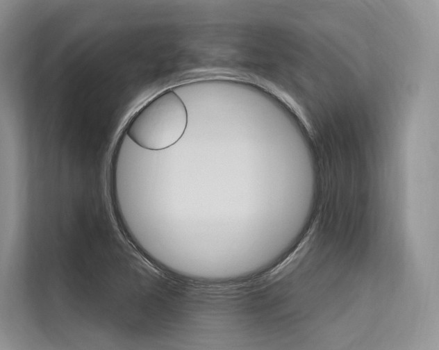 X0000113571365200909180951