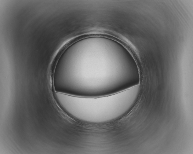 X0000113571368200909180951