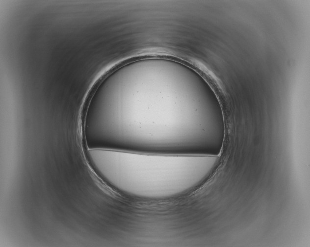 X0000113571372200909180951
