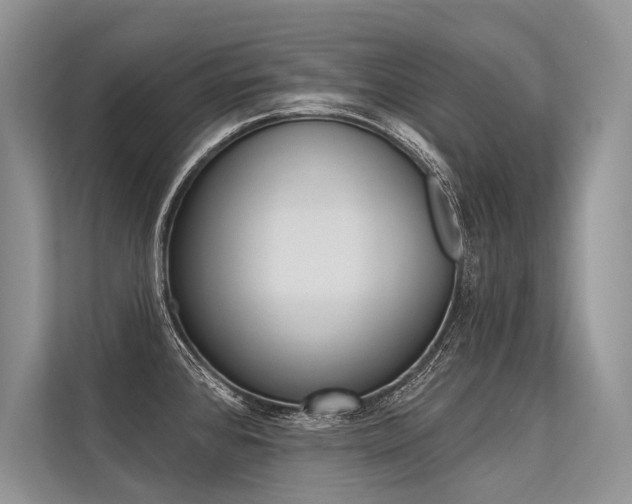 X0000113571384200909180951