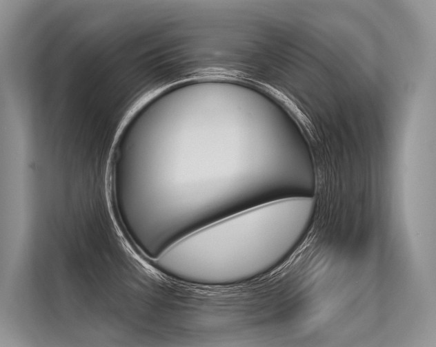 X0000113571387200909180951