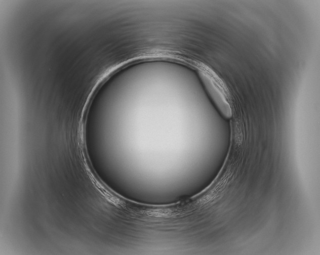 X0000113571388200909180951