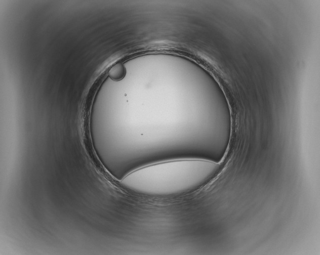 X0000113571410200909180950