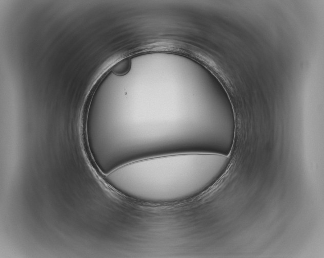 X0000113571426200909180950