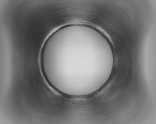 X0000113571429200909180950