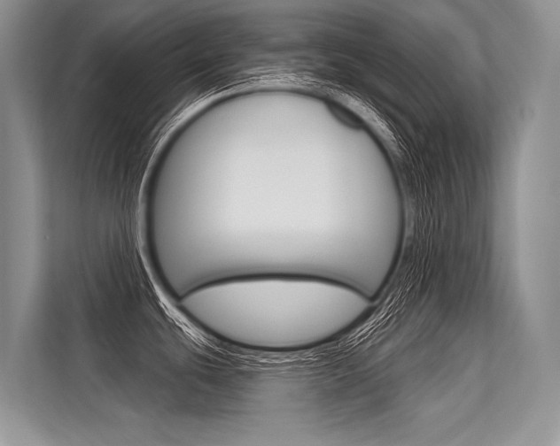 X0000113571439200909180950