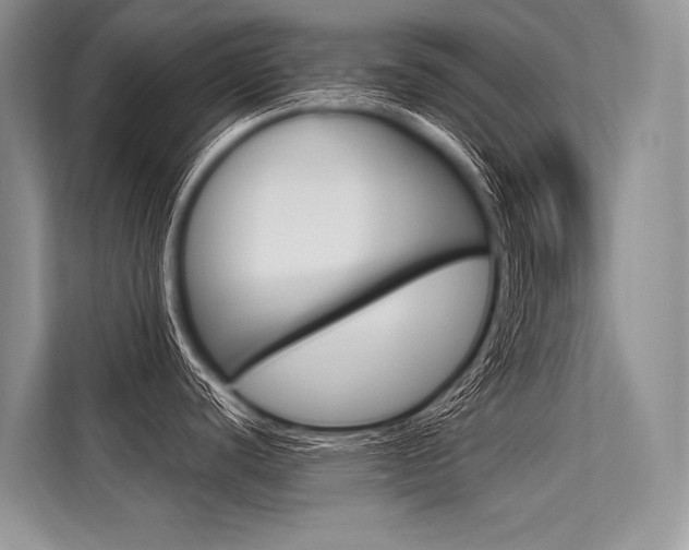 X0000113571440200909180950