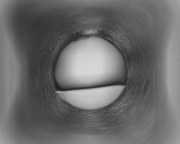 X0000113571441200909180950