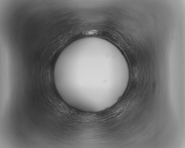 X0000113571442200909180950
