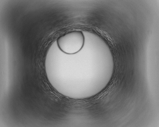 X0000113571445200909180950