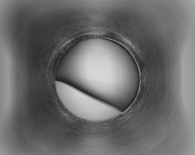 X0000113571448200909180950
