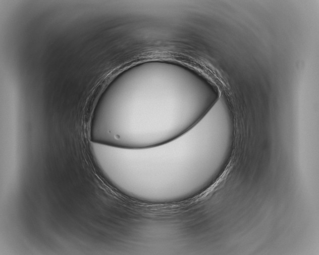 X0000113571449200909180950