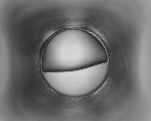 X0000113571453200909180950