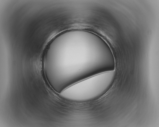 X0000113571459200909180950