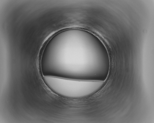 X0000113571460200909180950