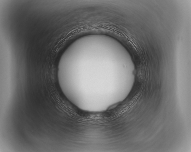 X0000113571490200909180949