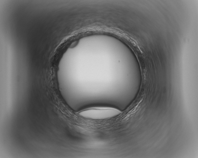 X0000113571494200909180949