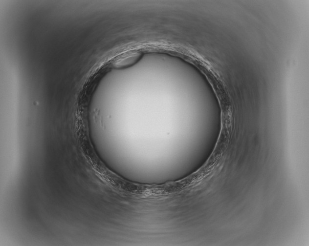 X0000113571496200909180949