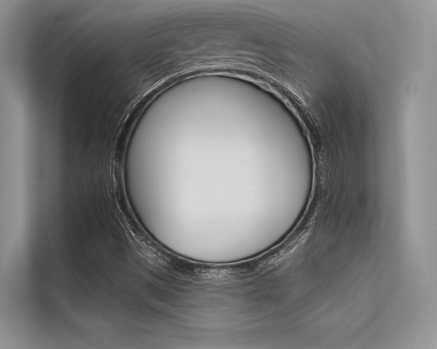 X0000113571497200909180949