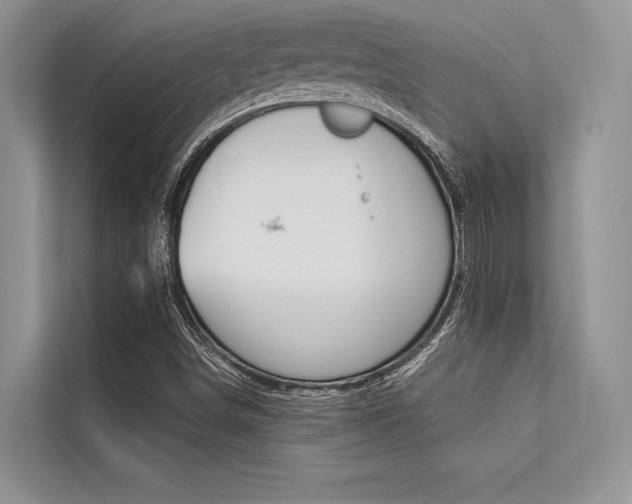 X0000113571498200909180949