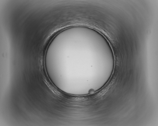 X0000113571499200909180949
