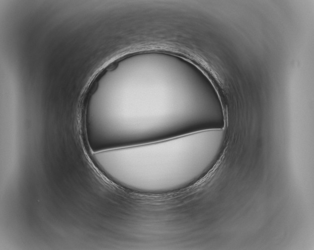X0000113571500200909180949