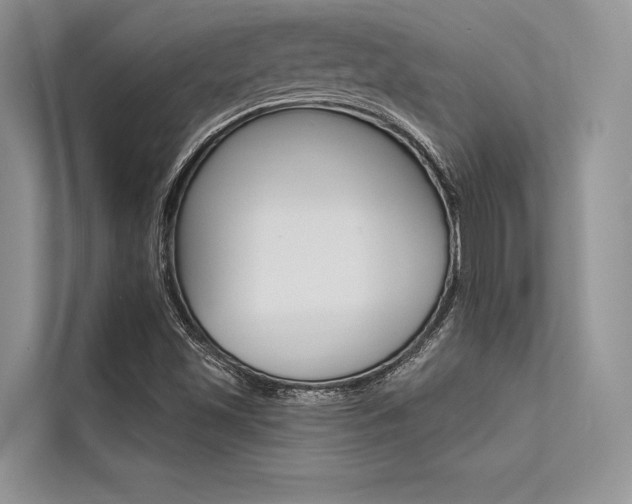 X0000113571501200909180949